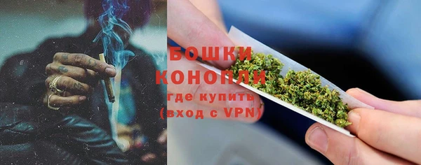 дживик Белокуриха