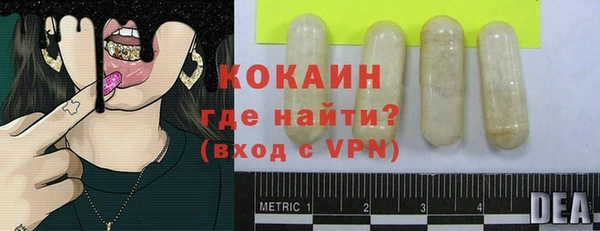 дживик Белокуриха