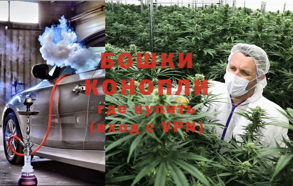 дживик Белокуриха