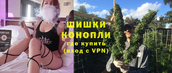 дживик Белокуриха