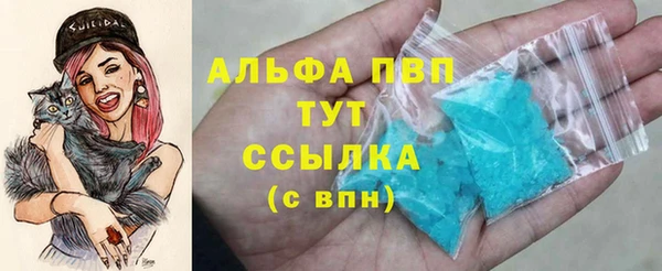 дживик Белокуриха