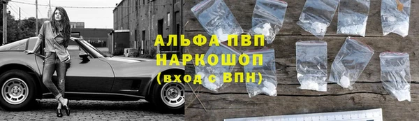 дживик Белокуриха