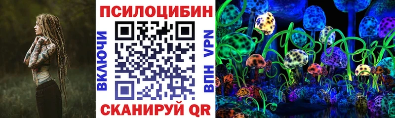 Галлюциногенные грибы Cubensis  Мезень 